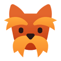 Yorkshire-Terrier
