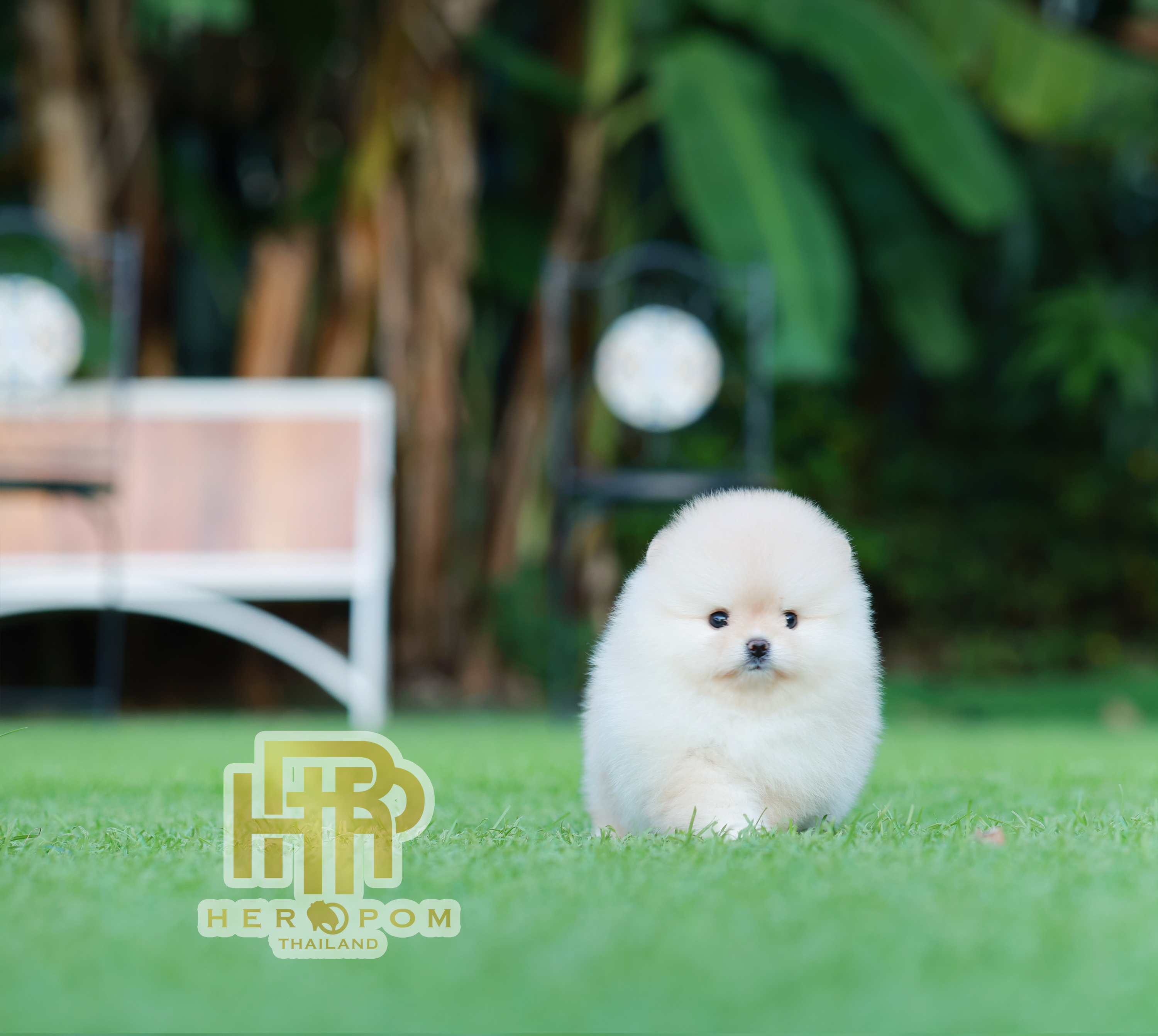 HRF-10423