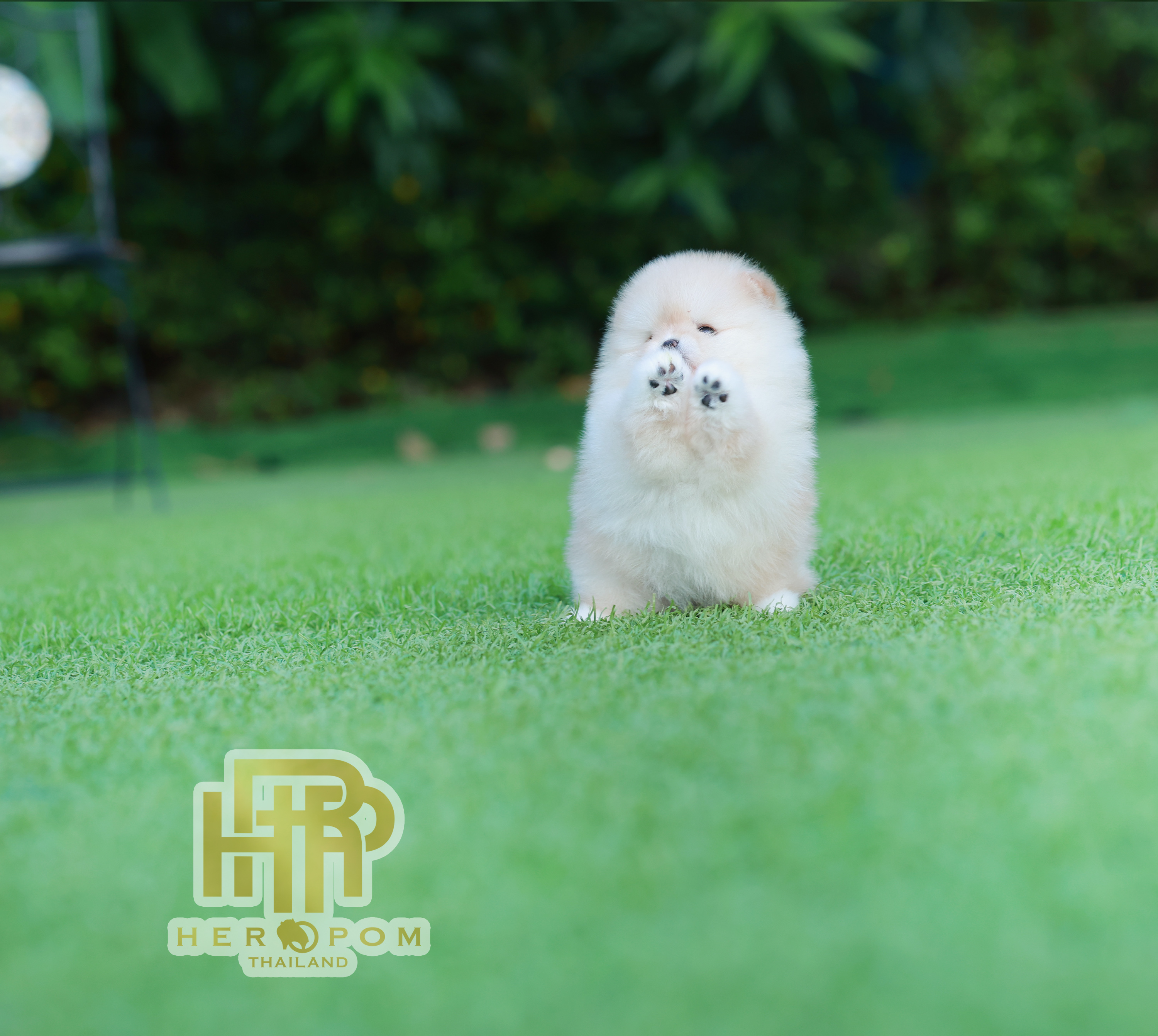 HRF-10423